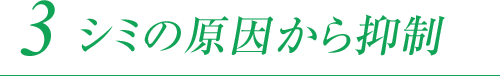 シミの原因から抑制