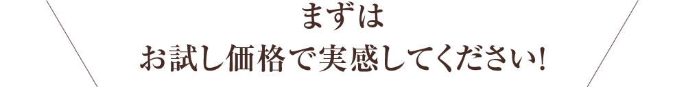 まずはお試し価格で実感してください！