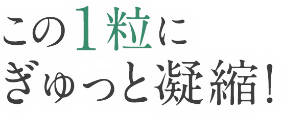 この一粒にぎゅっと凝縮！